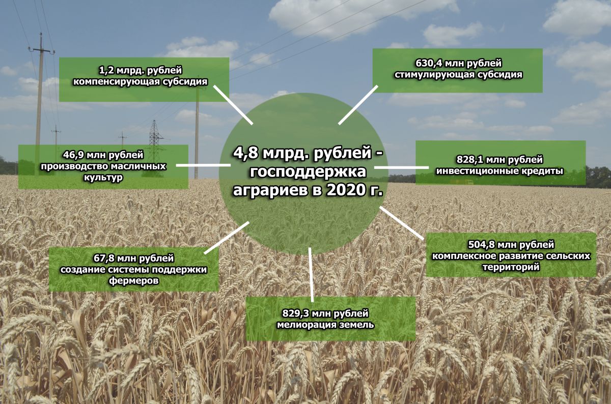 Аграрии Ставрополья в этом году получат почти 5 млрд. рублей господдержки 