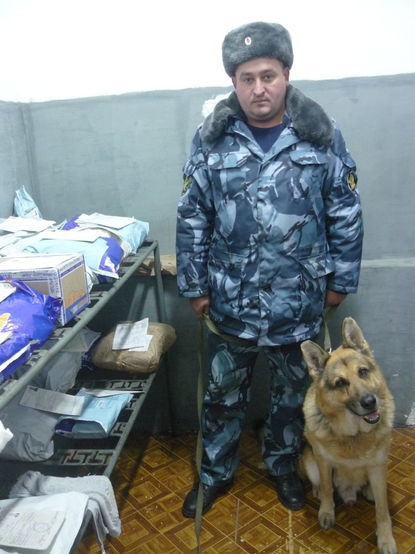 На Ставрополье служебный пес помог найти наркотики 
