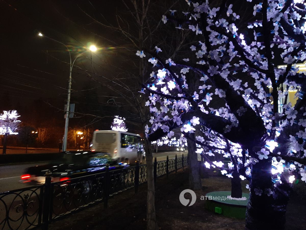 Светодиодные деревья в Ставрополе