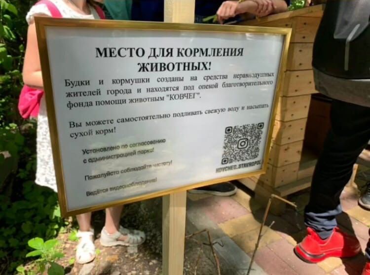 Будки и кормушки для бездомных животных появились в парке Ставрополя