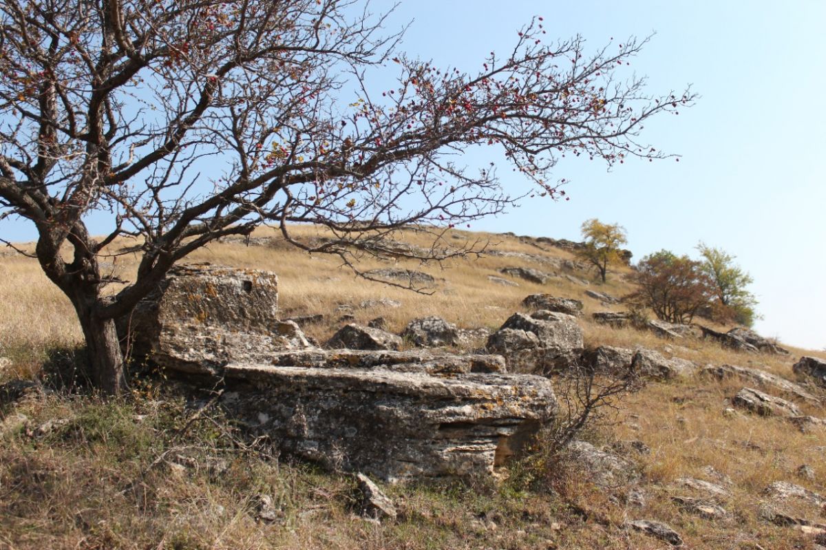 Природный заказник «Подлужный» площадью 380 га создали в Изобильненском округе