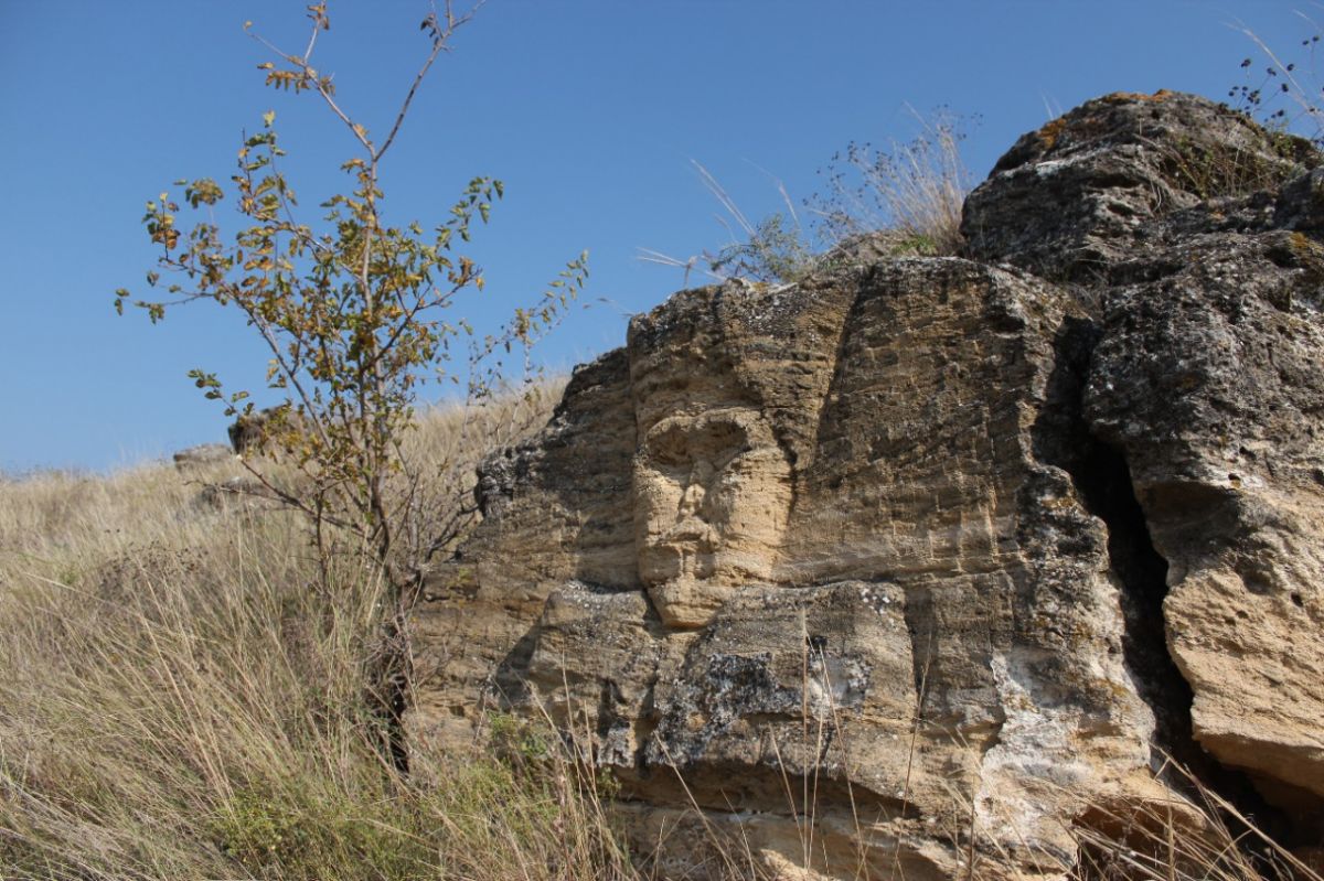 Природный заказник «Подлужный» площадью 380 га создали в Изобильненском округе