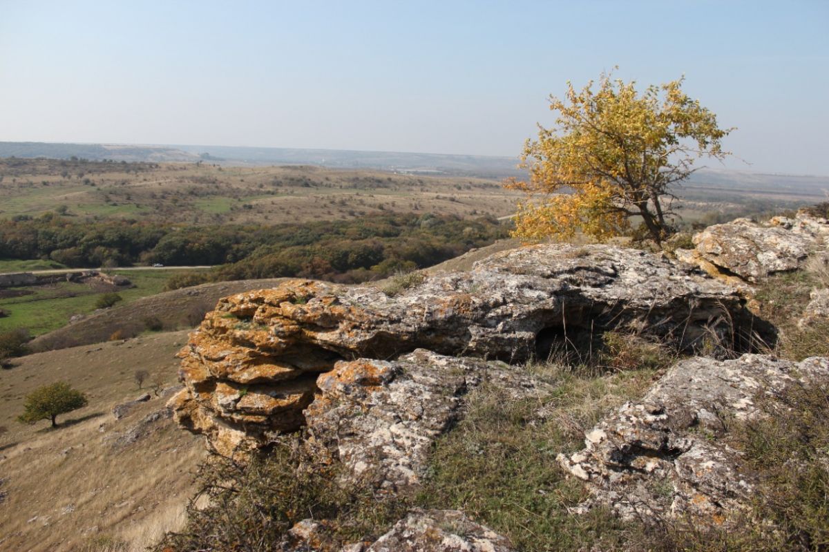 Природный заказник «Подлужный» площадью 380 га создали в Изобильненском округе