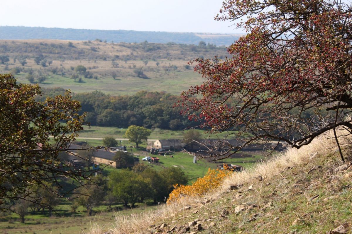 Природный заказник «Подлужный» площадью 380 га создали в Изобильненском округе
