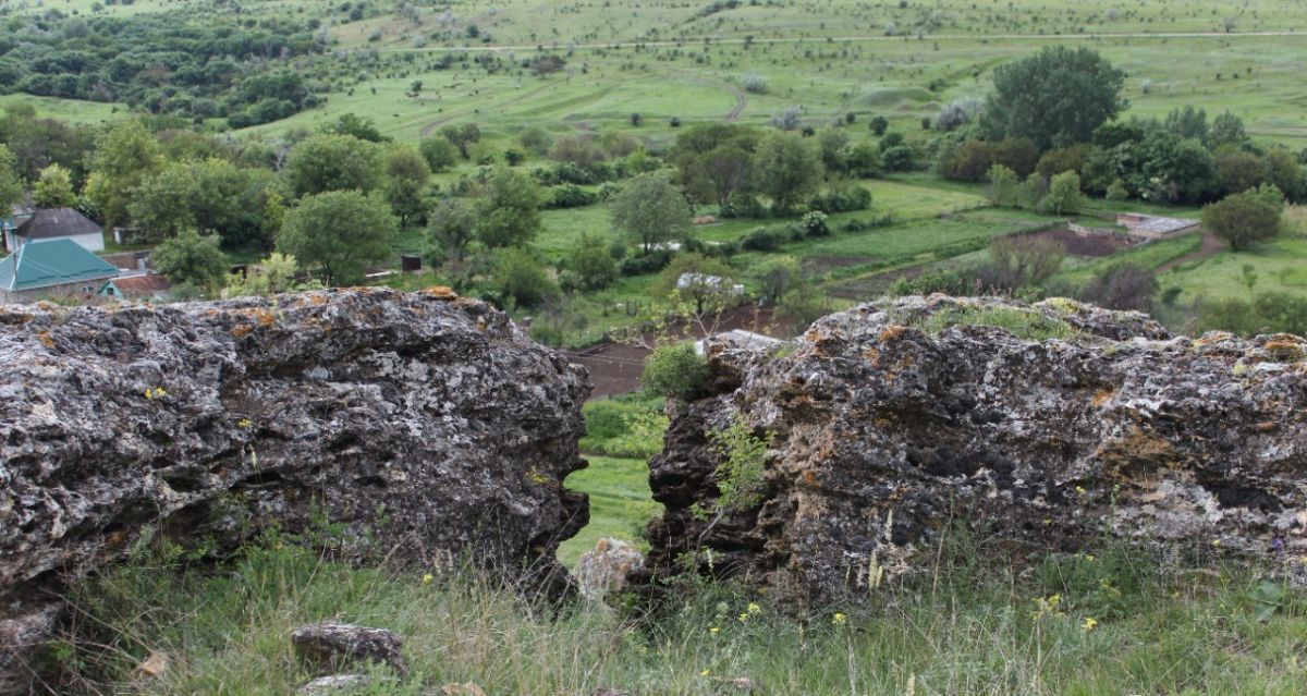 Природный заказник «Подлужный» площадью 380 га создали в Изобильненском округе