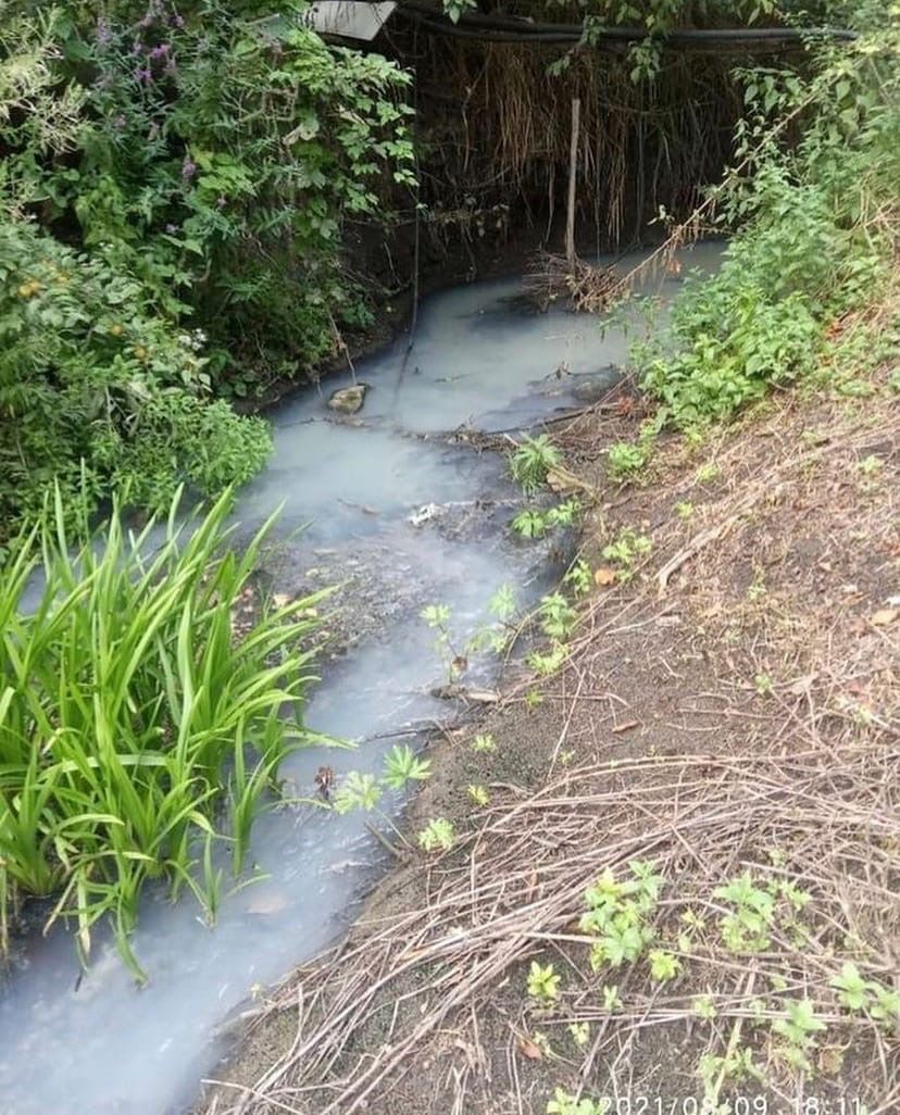 Экологи возьмут пробы воды в реке Татарка на Ставрополье. Фото: instagram.com/grinevanadezhdasergeevna/