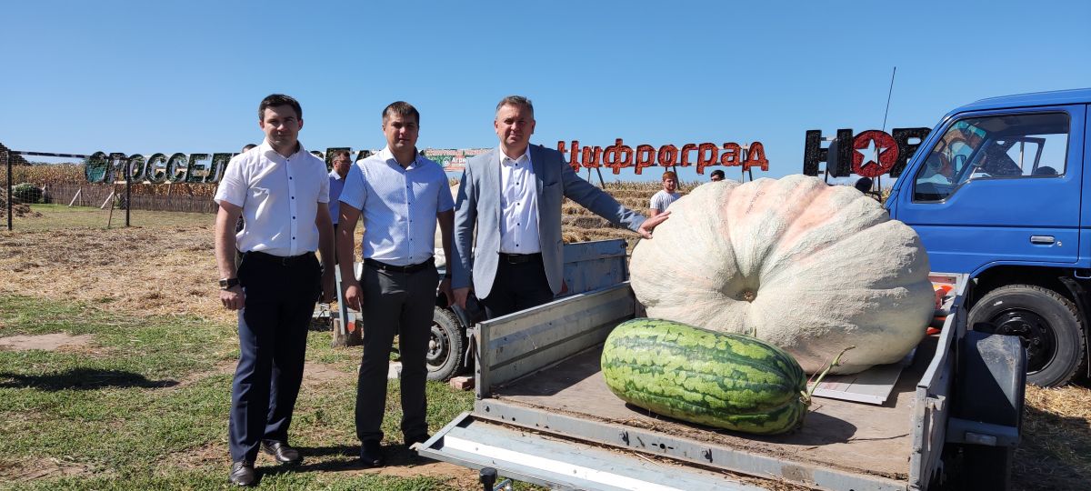 Фото: ФГБУ «Россельхозцентр» по Ставрополью