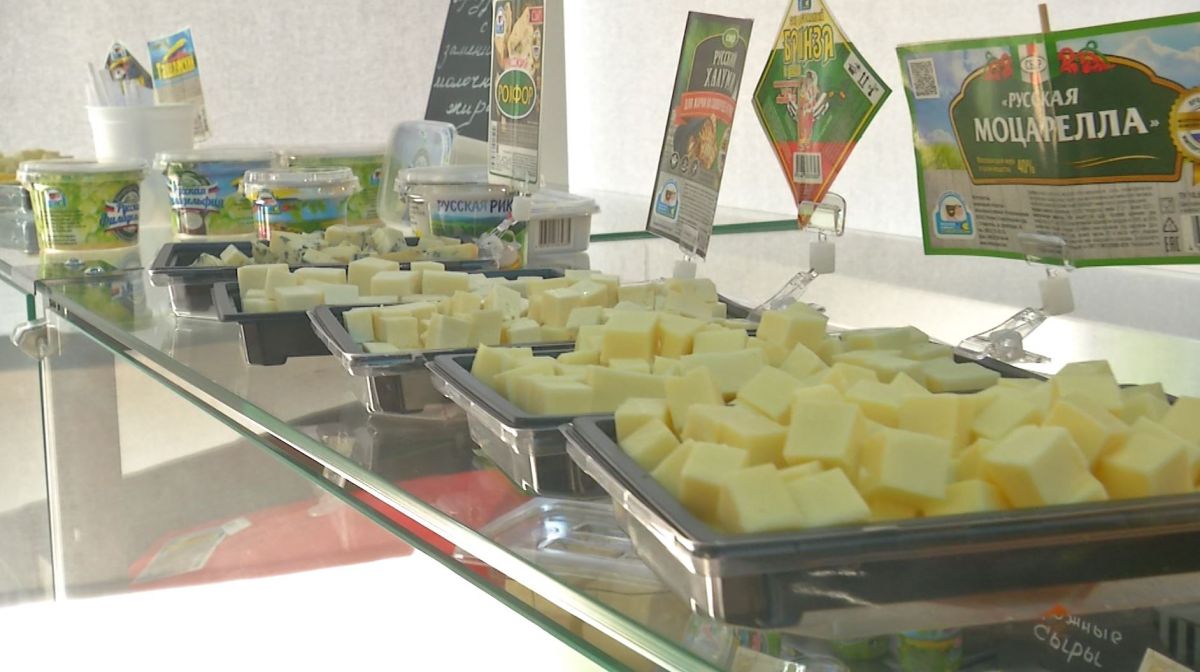 сыр МКС в Ставрополе