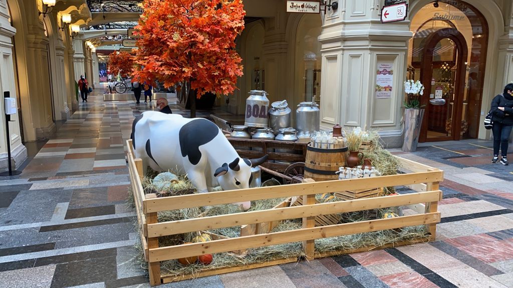 «Лучший сыр России-2021» ставропольского производителя представлен на Красной площади в Москве. Фото: минсельхоз СК.