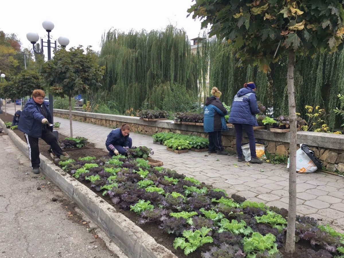 Клумбы Кисловодска готовят к холодному периоду. Фото: администрация Кисловодска. Клумбы Кисловодска готовят к холодному периоду. Фото: администрация Кисловодска.