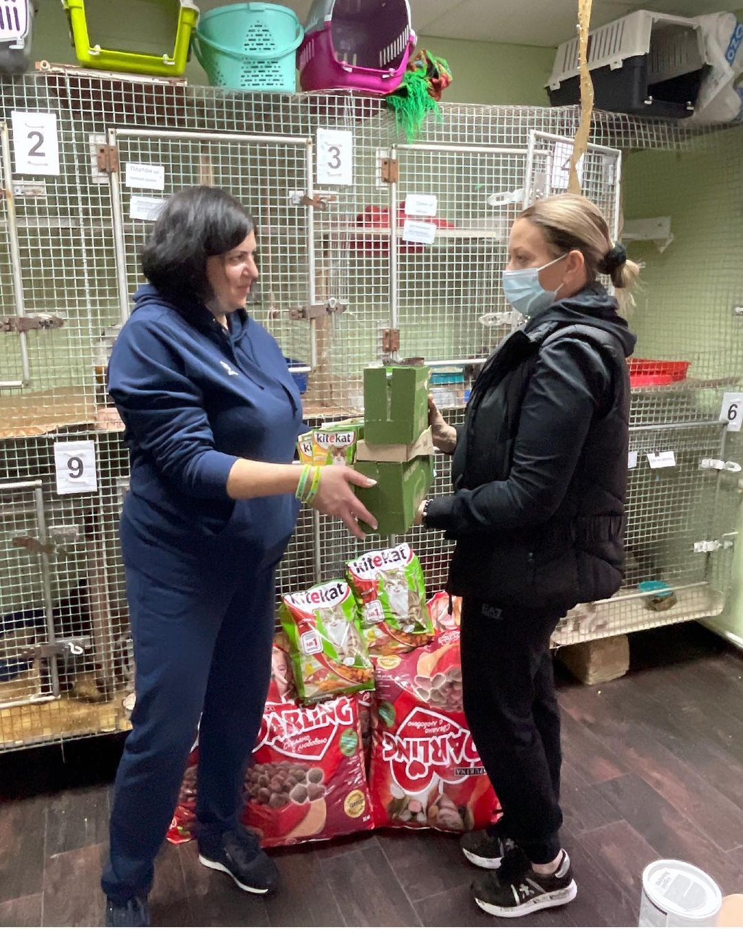 Певец Сергей Лазарев подарил ставропольским приютам корм для животных. Фото: instagram.com/sveta.mosina/