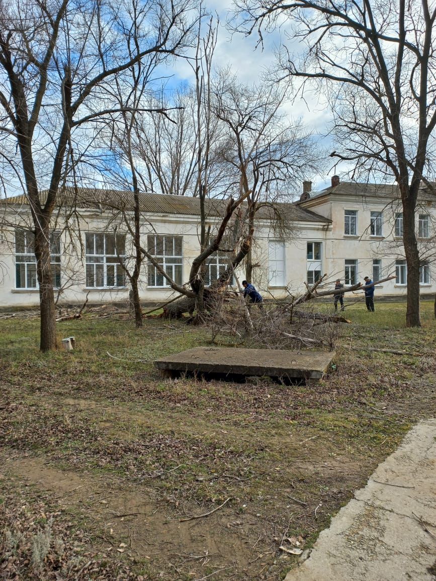 В Ипатовском округе восстановили почти все дома после ураганного ветра |  08.12.2021 | Ставрополь - БезФормата