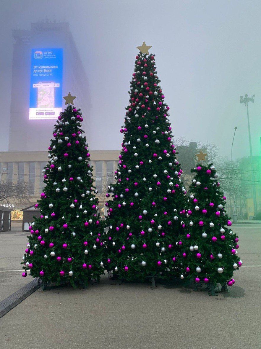 На площади Ленина в Ставрополе окончили установку новогодних елок. Фото: администрация Ставрополя.