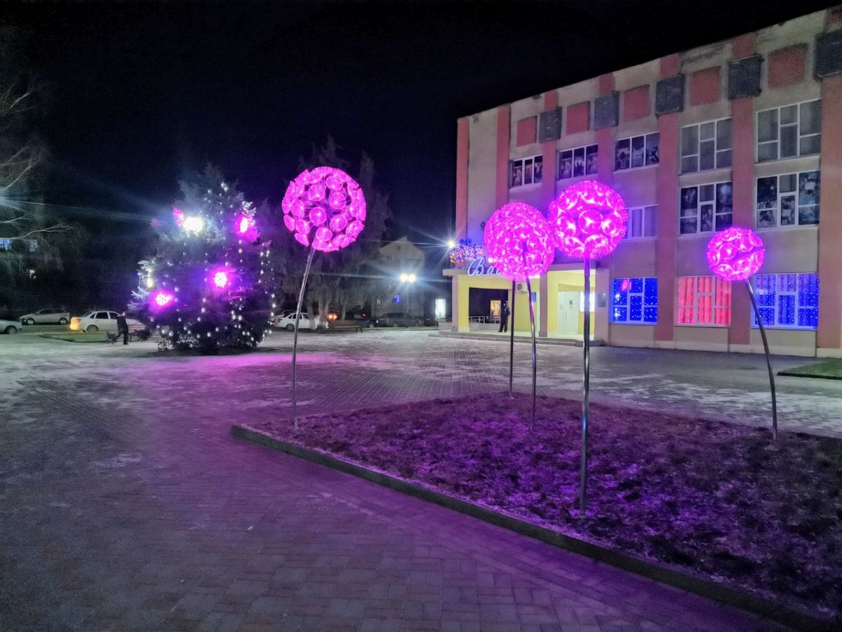 В канун Нового года на Ставрополье расцвели «одуванчики». Фото: администрация Курского округа 