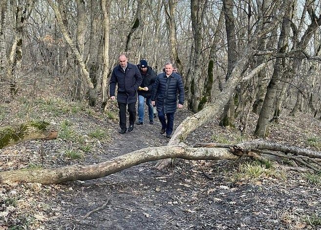 На горе Машук в Пятигорске эксперты проведут обследование леса. Фото: instagram.com/voroshilov_dm/ На горе Машук в Пятигорске эксперты проведут обследование леса. Фото: instagram.com/voroshilov_dm/