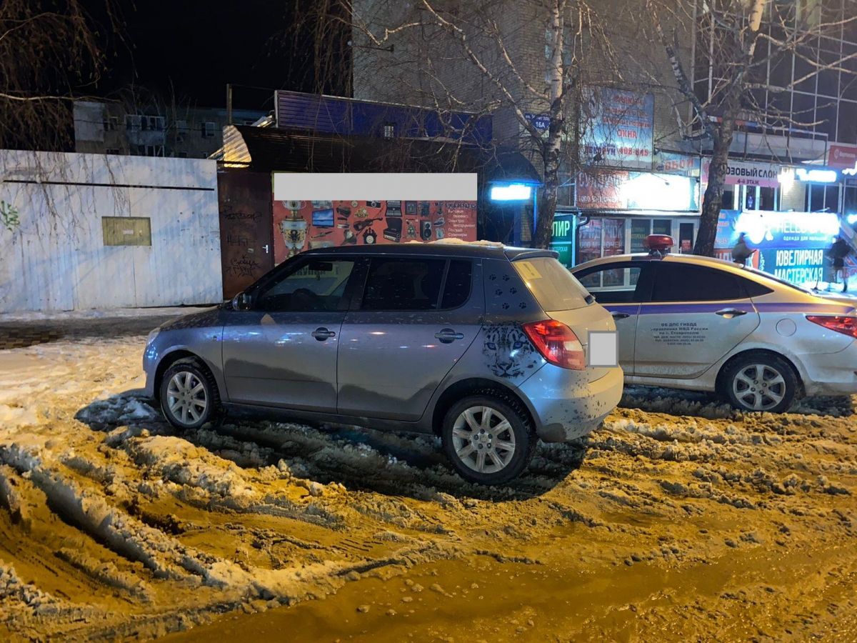 17 летнюю девушку сбили на пешеходном переходе в Ставрополе. Фото: Госавтоинспекция Ставрополя.