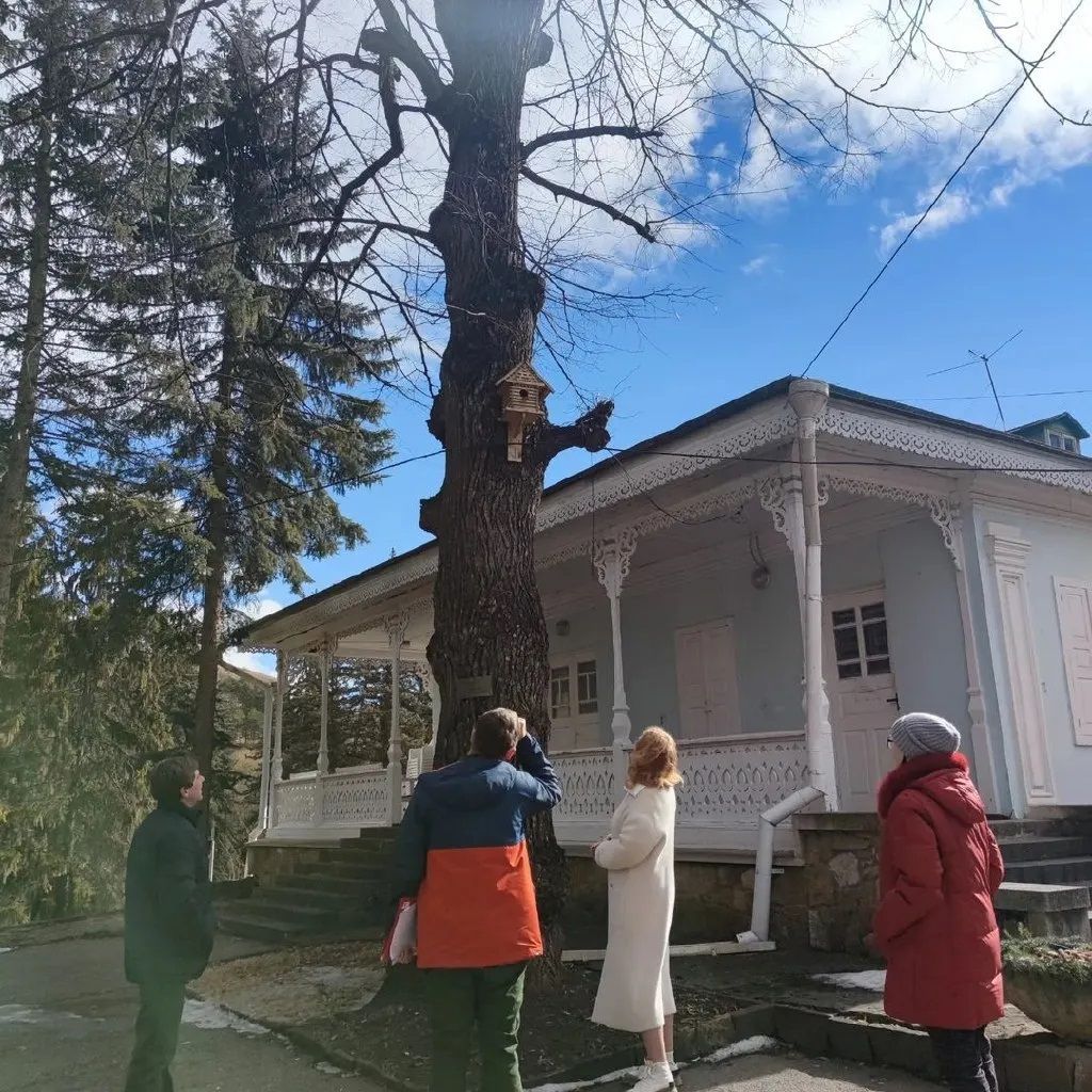 Кисловодск принял участие в акции "Мемориальные деревья России". Фото: администрация Кисловодска.