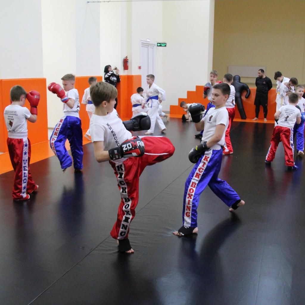 В селе Красногвардейском на Ставрополье открыли новый зал единоборств. Фото: администрация Красногвардейского округа В селе Красногвардейском на Ставрополье открыли новый зал единоборств. Фото: администрация Красногвардейского округа