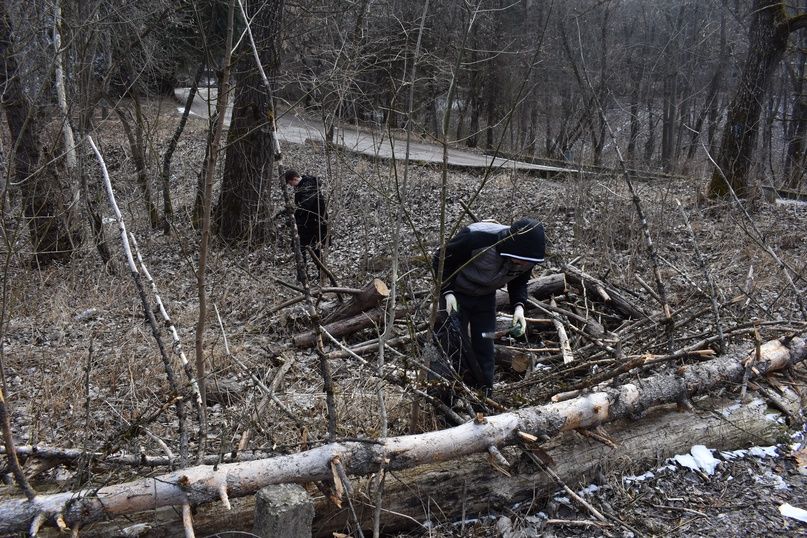 Юные натуралисты собрали на территории кисловодского парка грузовик мусора. Фото: администрация Кисловодска Юные натуралисты собрали на территории кисловодского парка грузовик мусора. Фото: администрация Кисловодска
