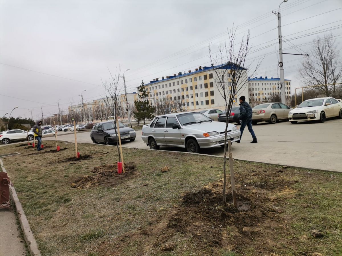 В Ставрополе жильцы домов озеленяют внутриквартальные территории |  29.03.2022 | Ставрополь - БезФормата