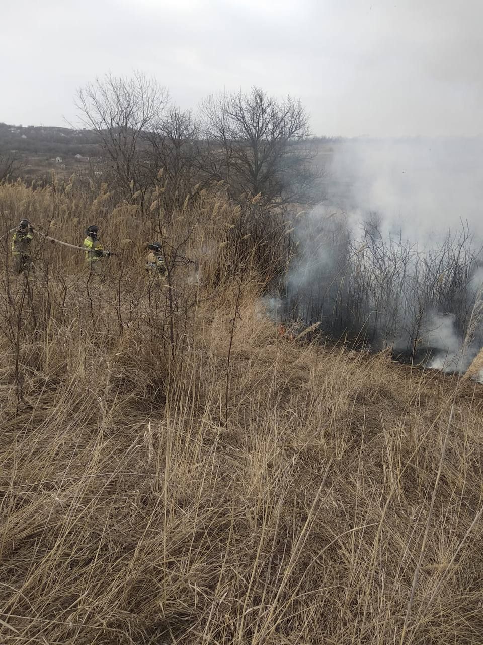 В Ставрополе случился ландшафтный пожар в районе СНТ Зорька. Фото: ГУ МЧС России по СК. В Ставрополе случился ландшафтный пожар в районе СНТ Зорька. Фото: ГУ МЧС России по СК.