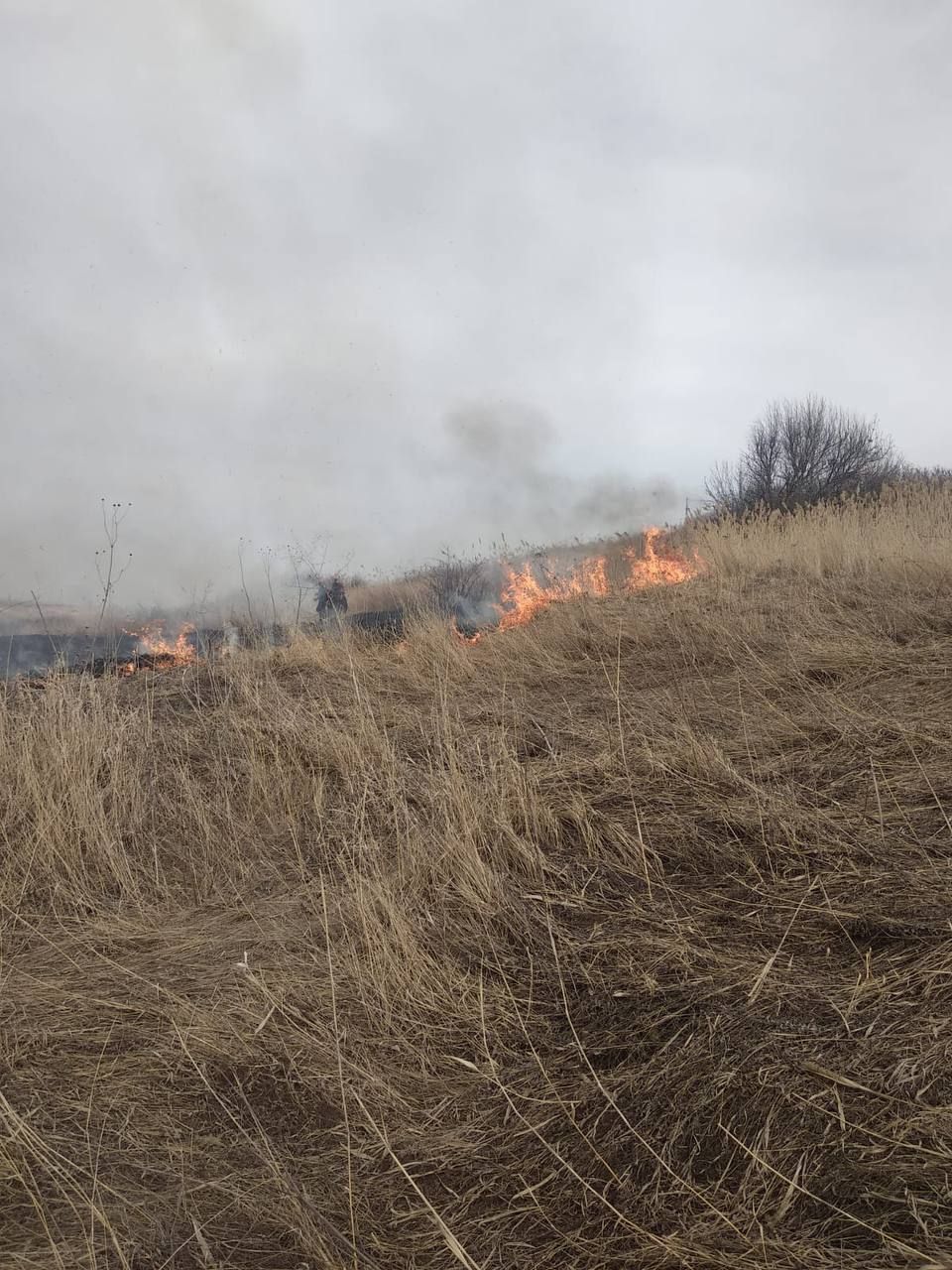 В Ставрополе случился ландшафтный пожар в районе СНТ Зорька. Фото: ГУ МЧС России по СК. В Ставрополе случился ландшафтный пожар в районе СНТ Зорька. Фото: ГУ МЧС России по СК.