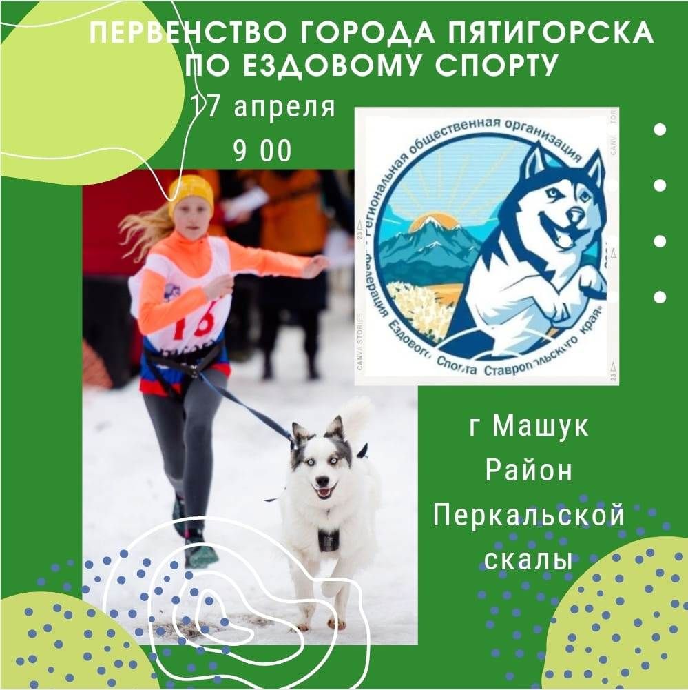 Чемпионат по бегу с собаками пройдет у подножия Машука 17 апреля. Фото: администрация Пятигорска
