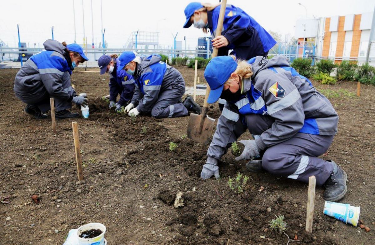 «Это просто!»: на субботник в Невинномысске вышли 60 тыс. человек. Фото: администрация Невинномысска