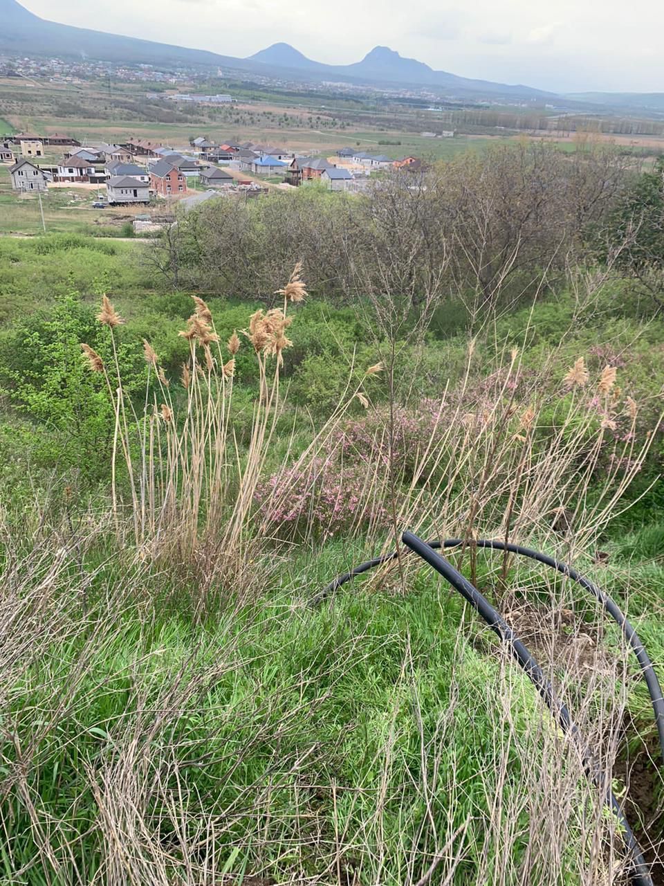 В Железноводске местные жители незаконно прокладывали канализационные трубы. Фото: администрация Железноводска В Железноводске местные жители незаконно прокладывали канализационные трубы. Фото: администрация Железноводска