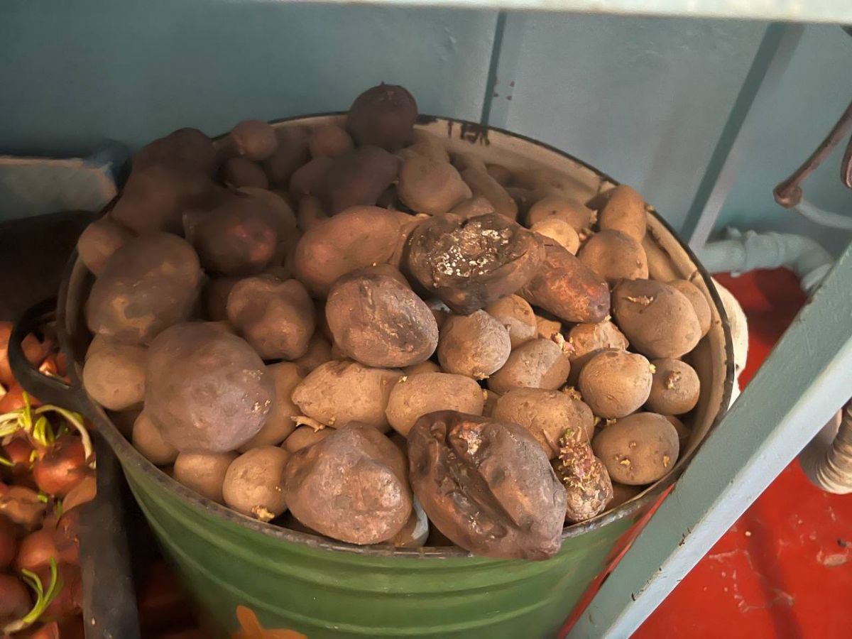 Фото: прокуратура Ставропольского края Фото: прокуратура Ставропольского края