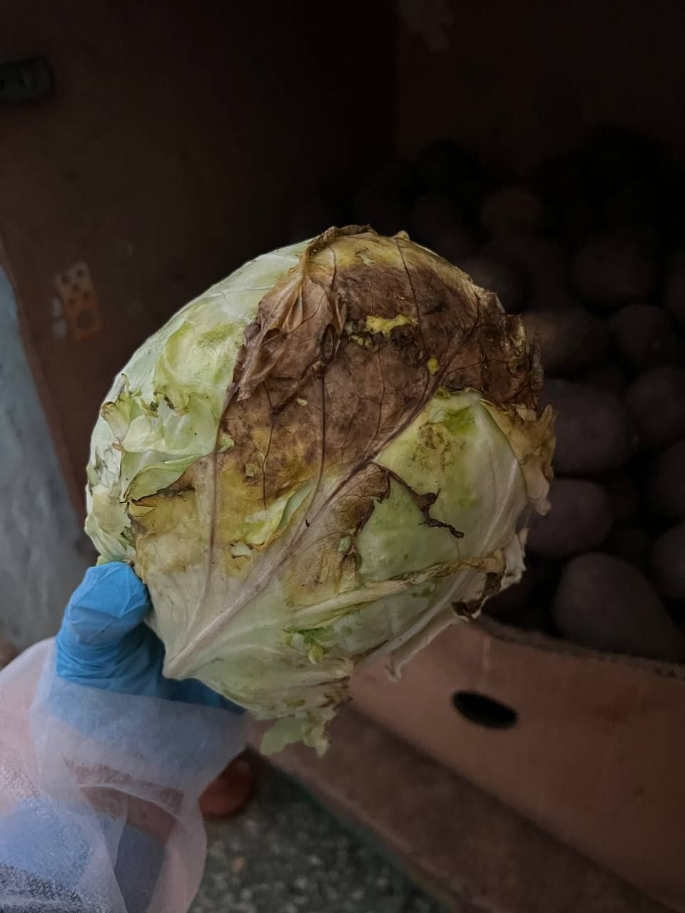 Фото: прокуратура Ставропольского края Фото: прокуратура Ставропольского края