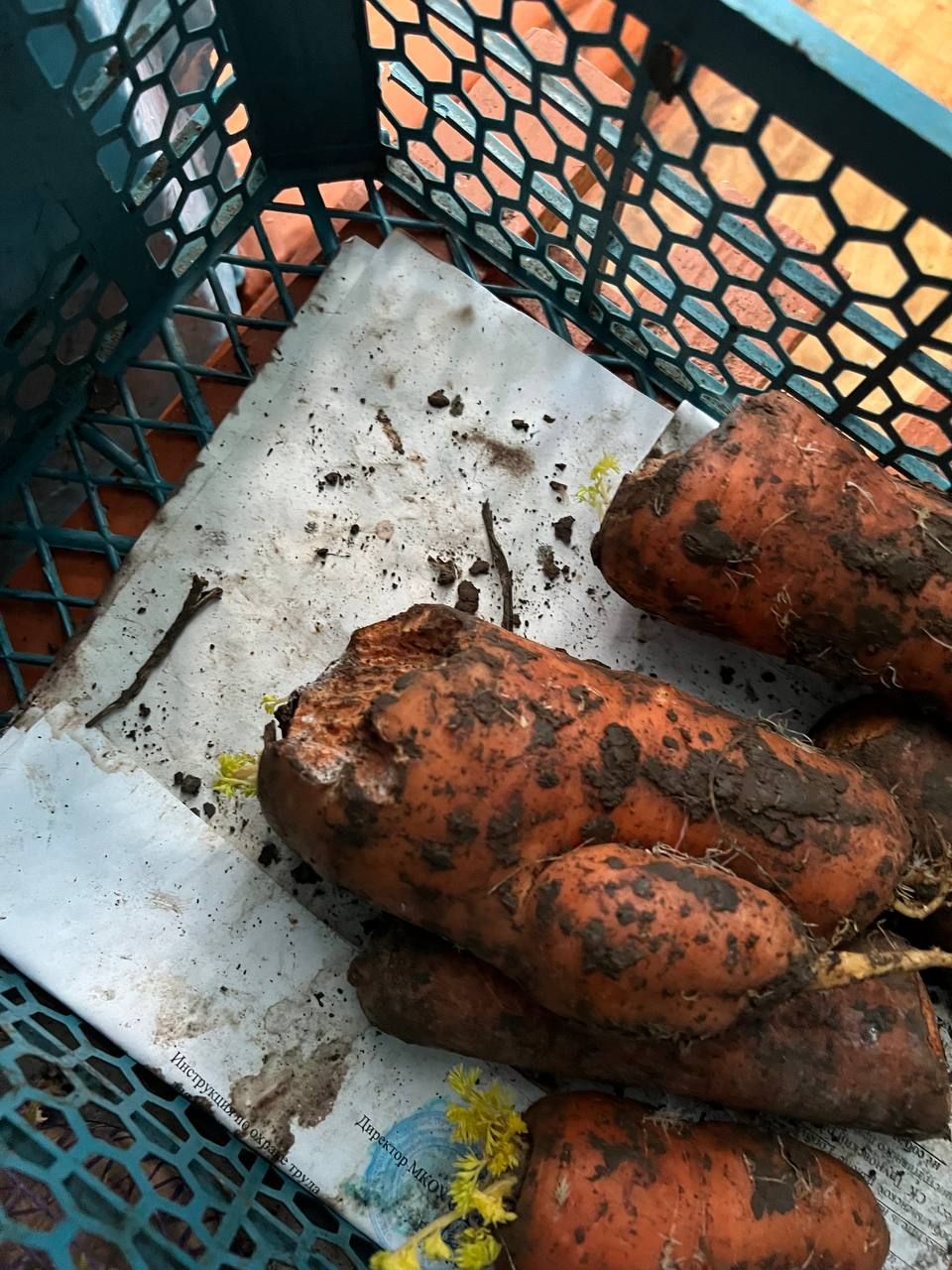 Фото: прокуратура Ставропольского края Фото: прокуратура Ставропольского края