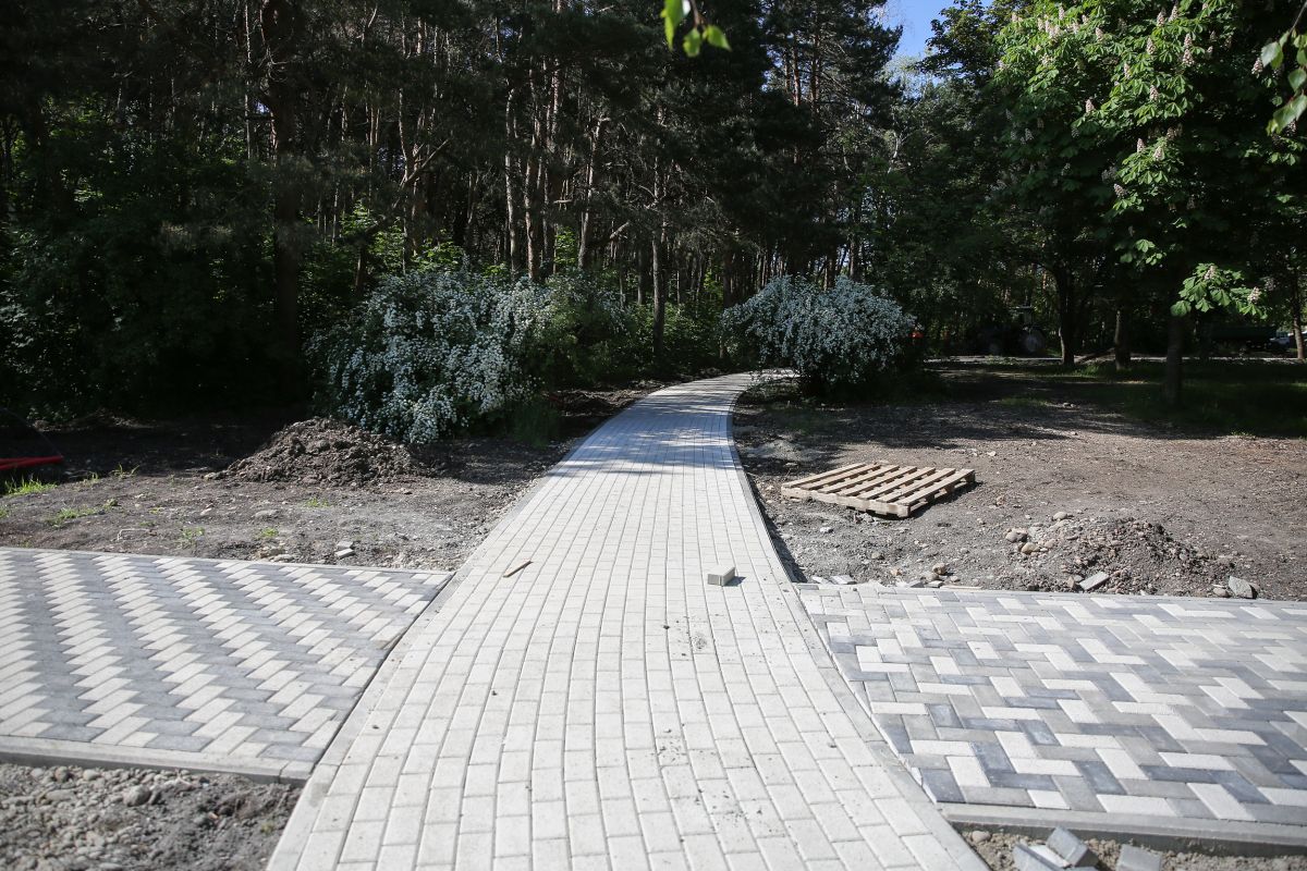 Фото: администрация Ставрополя Фото: администрация Ставрополя