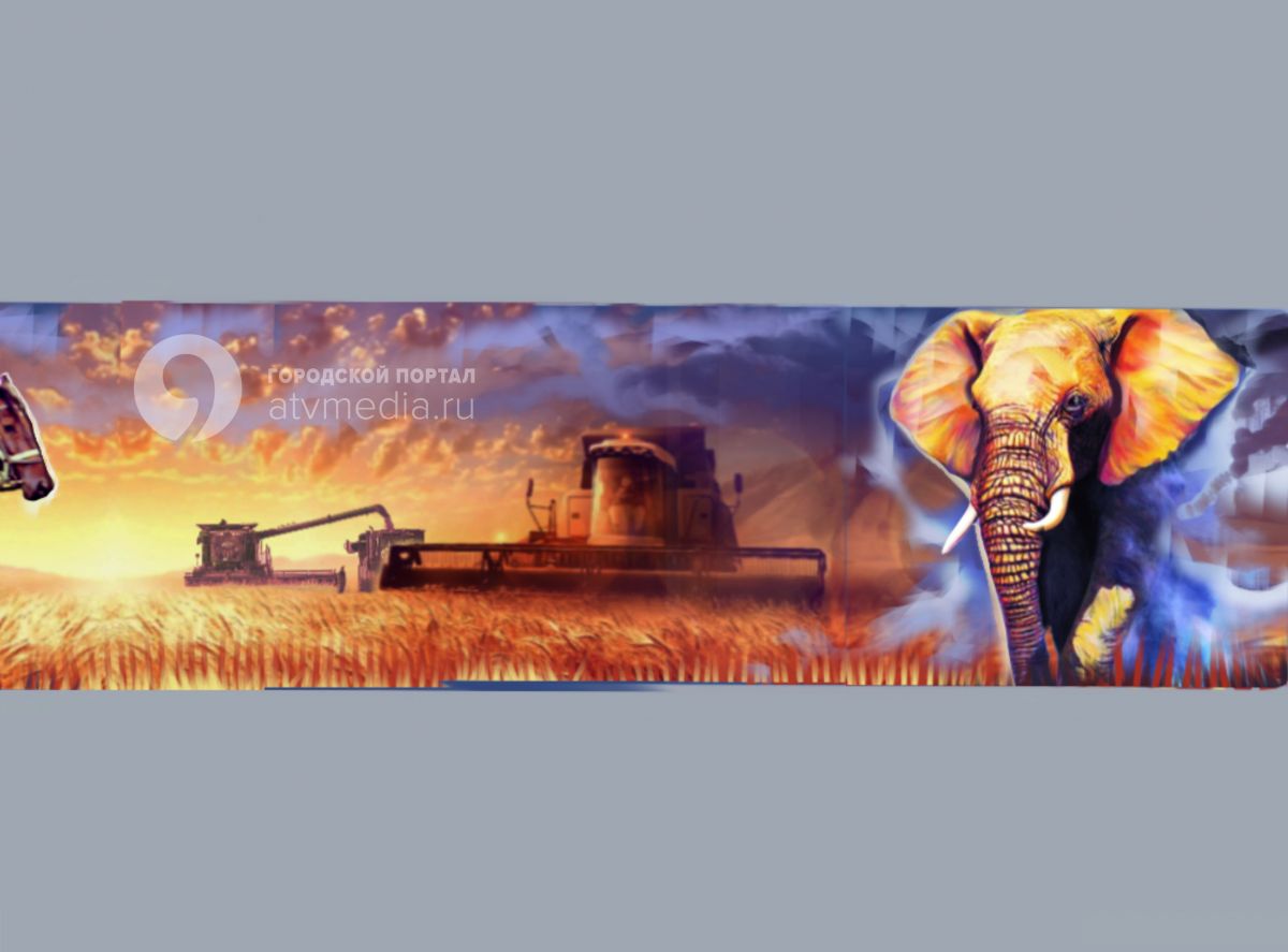 Фото: управление по молодежной политике аппарата Правительства Ставропольского края Фото: управление по молодежной политике аппарата Правительства Ставропольского края