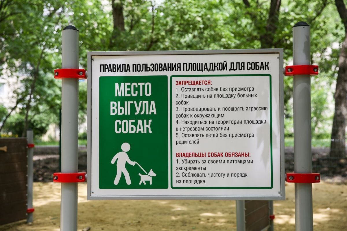 Фото: t.me/iiulyanchenko Фото: t.me/iiulyanchenko