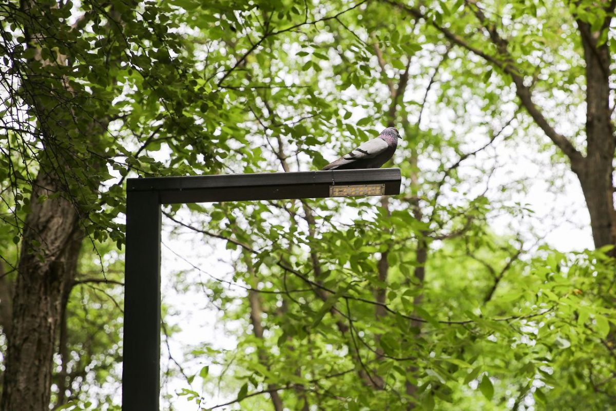 Фото: t.me/iiulyanchenko Фото: t.me/iiulyanchenko