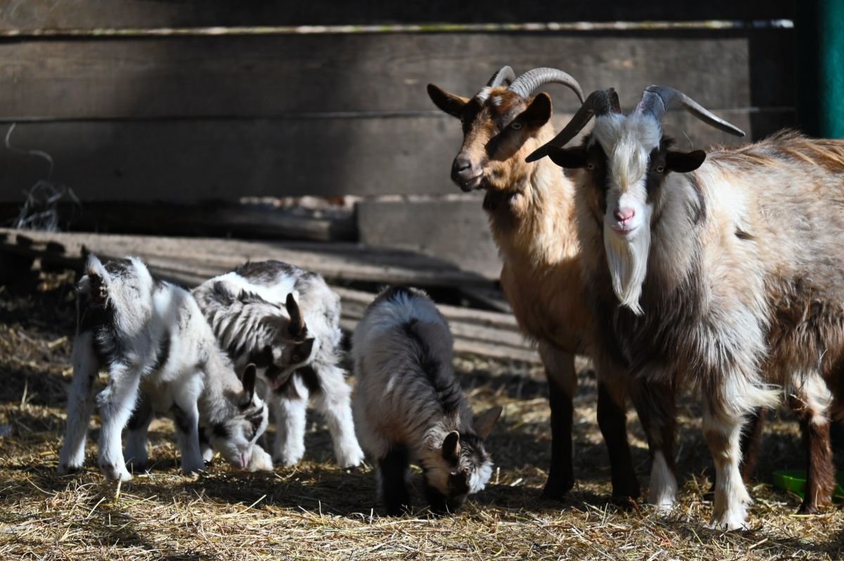 Ставропольские парки Ставропольские парки
