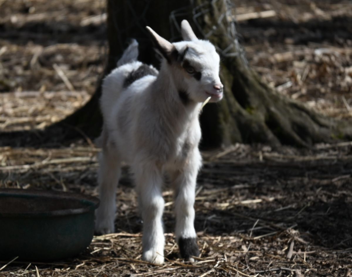 Ставропольские парки Ставропольские парки