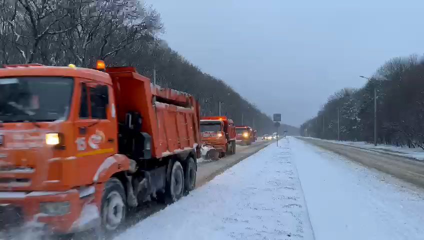 Фото: администрация Ставрополя