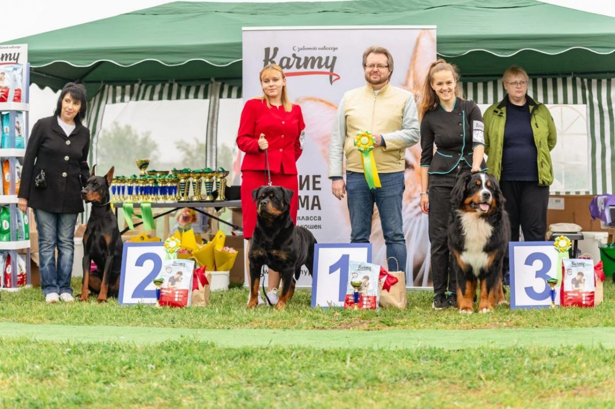 администрация Невинномысска администрация Невинномысска