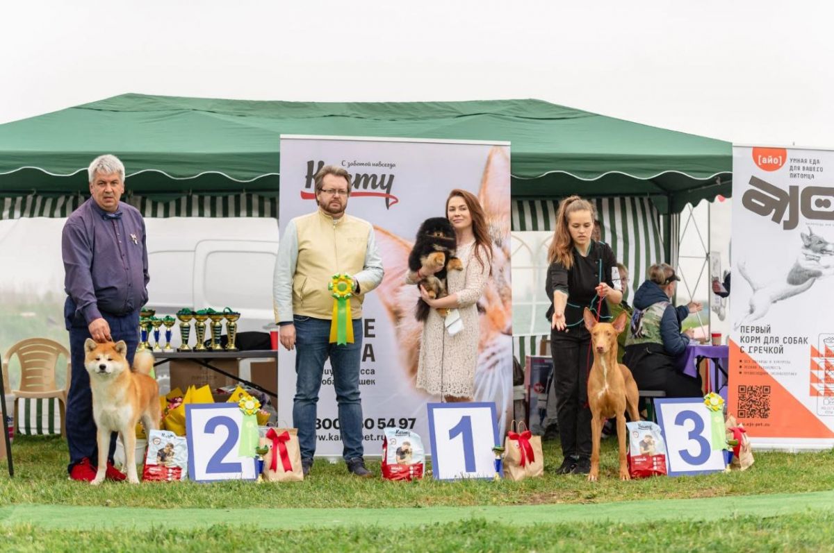 администрация Невинномысска администрация Невинномысска