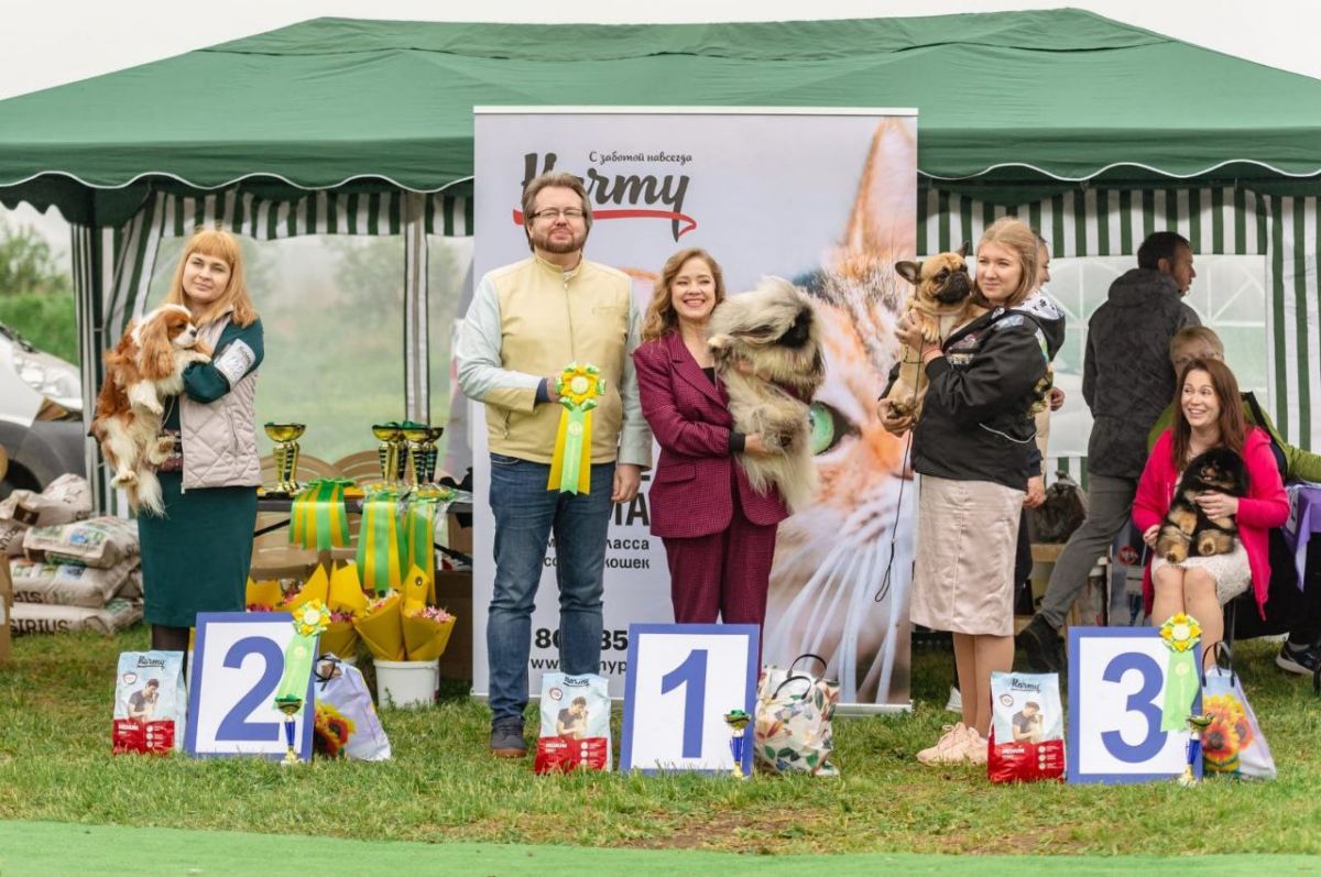 администрация Невинномысска администрация Невинномысска