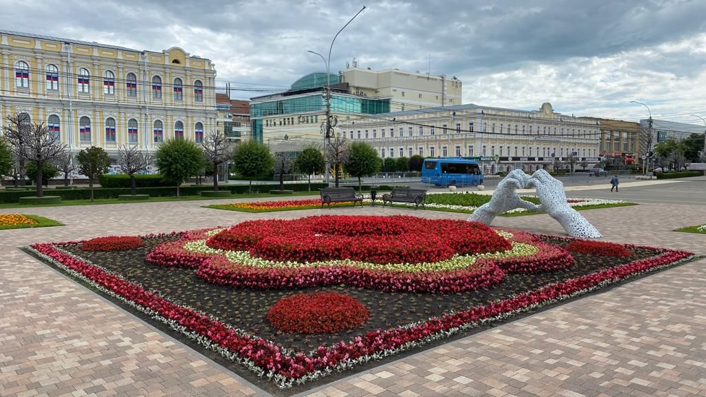 Седум клумба в городе на площади