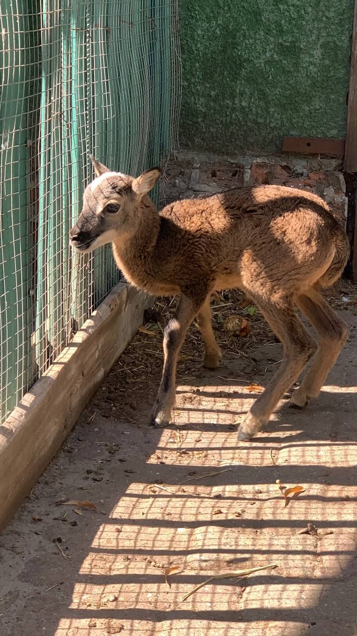 Официальный канал Ставропольских парков культуры и отдыха