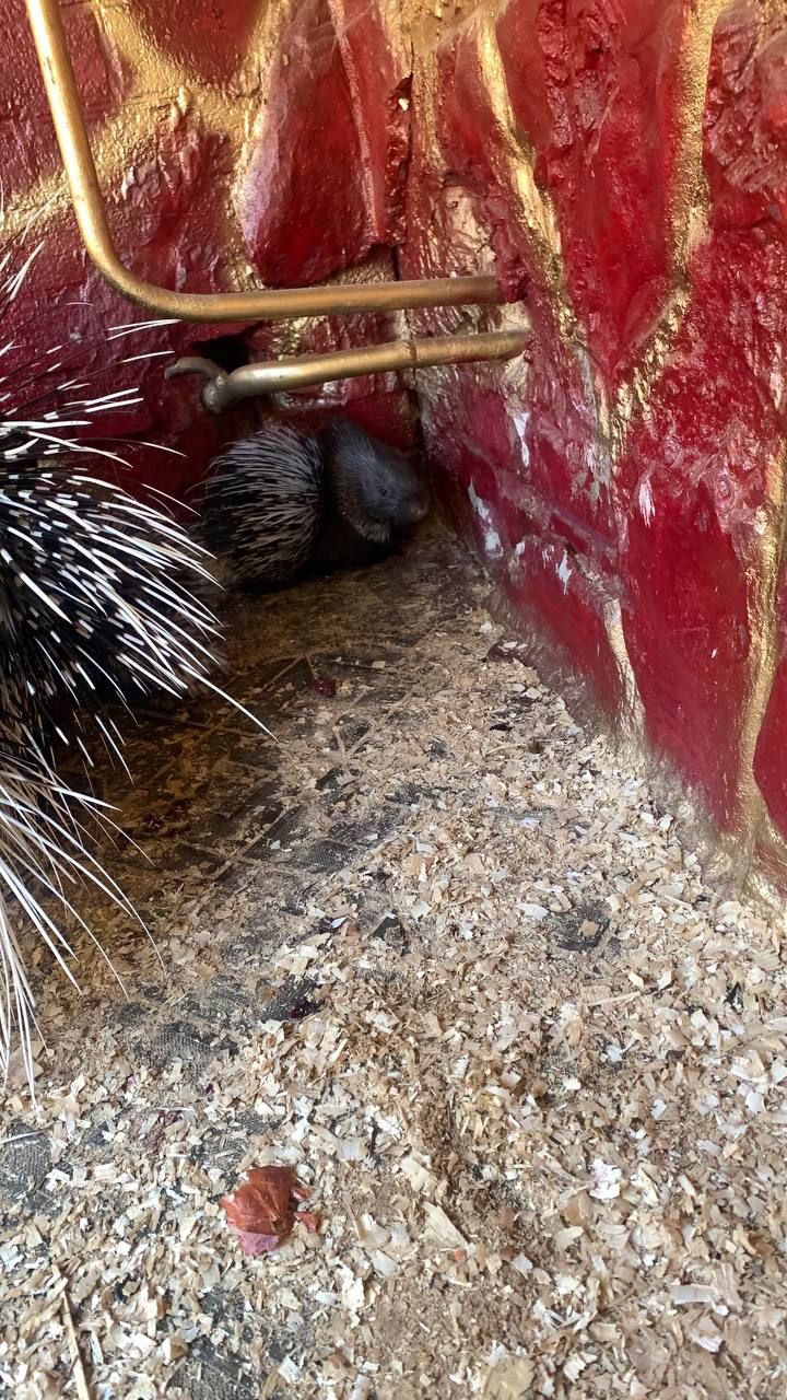 Официальный канал Ставропольских парков культуры и отдыха