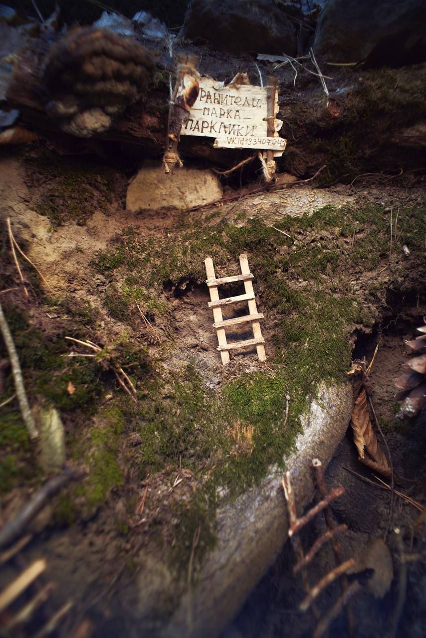 Konstantin Kordonsky Konstantin Kordonsky