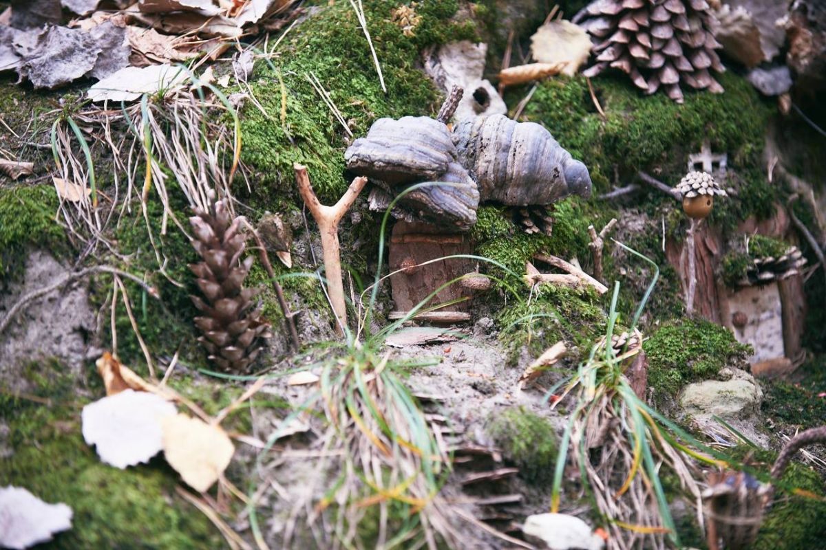 Konstantin Kordonsky Konstantin Kordonsky