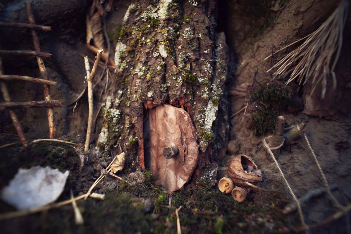 Konstantin Kordonsky Konstantin Kordonsky