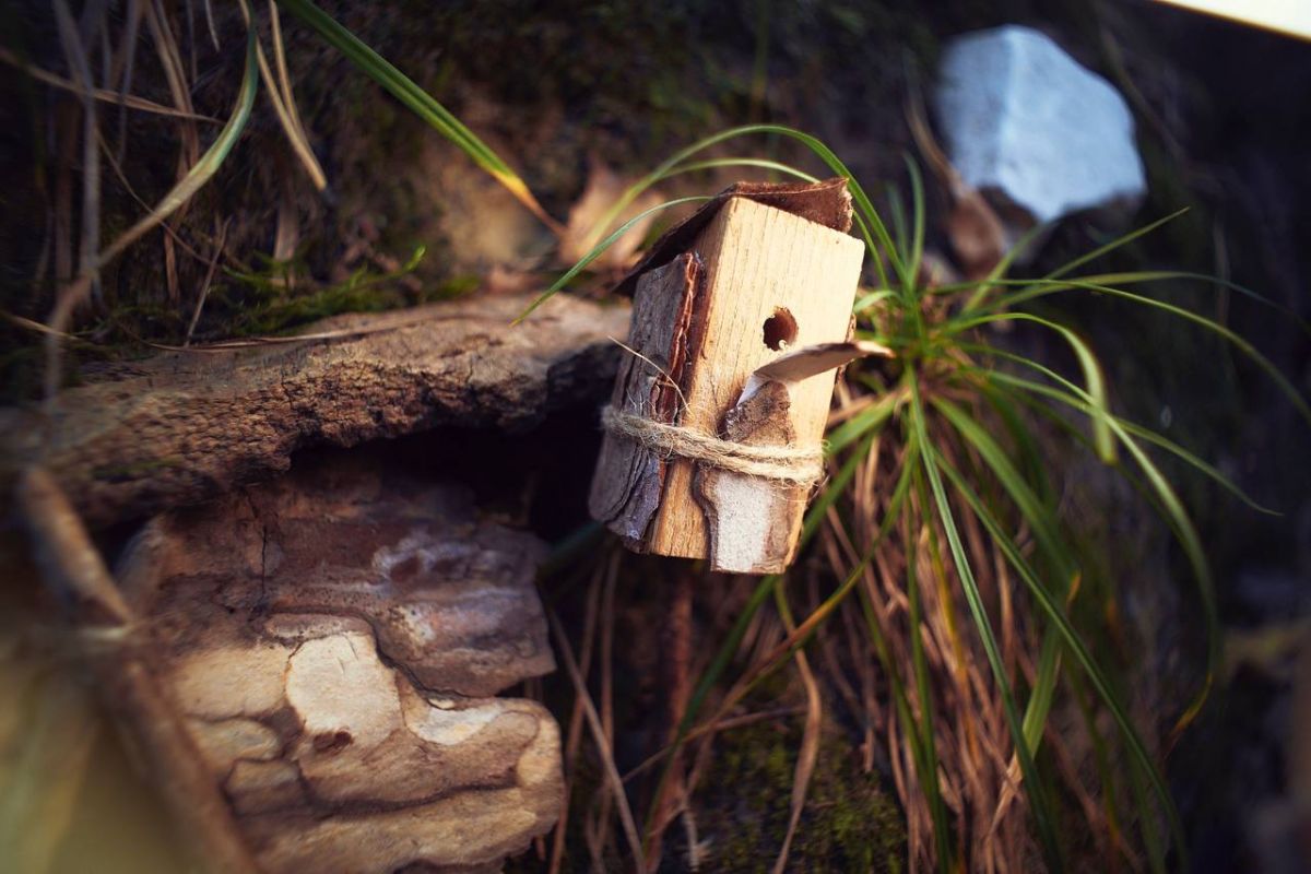 Konstantin Kordonsky Konstantin Kordonsky