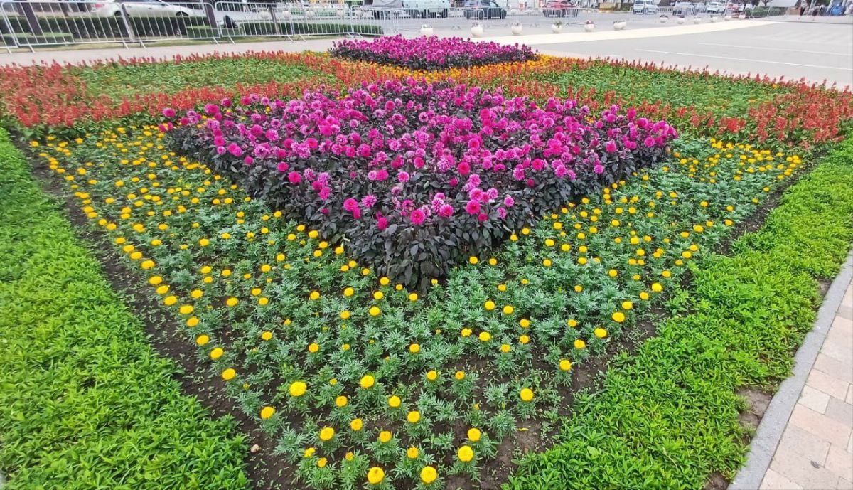 администрация Ставрополя